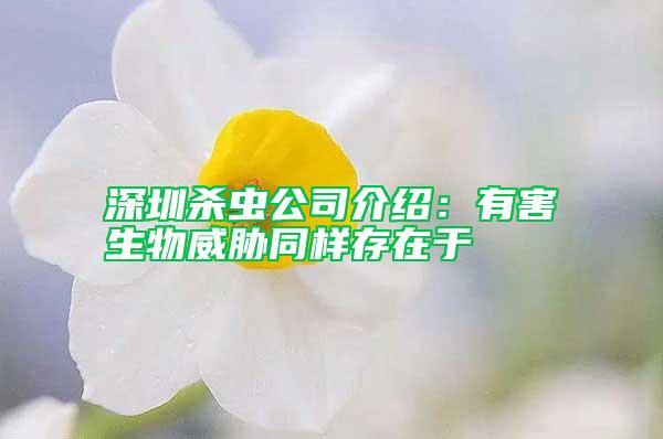 深圳殺蟲公司介紹：有害生物威脅同樣存在于