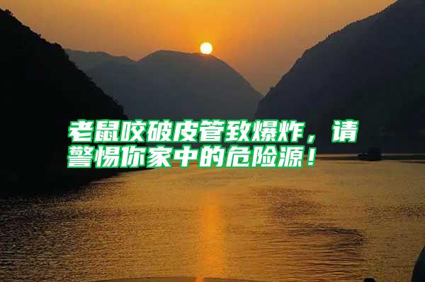 老鼠咬破皮管致爆炸,請警惕你家中的危險源!