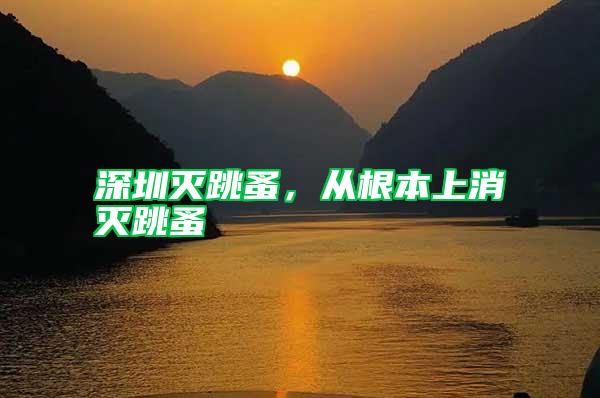 深圳滅跳蚤，從根本上消滅跳蚤