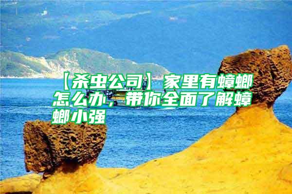 【殺蟲公司】家里有蟑螂怎么辦，帶你全面了解蟑螂小強