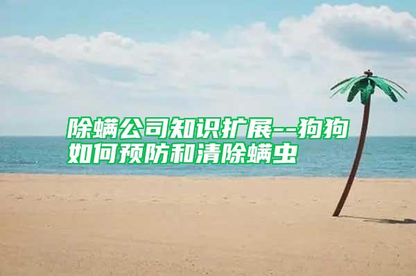 除螨公司知識(shí)擴(kuò)展--狗狗如何預(yù)防和清除螨蟲