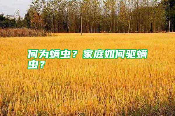 何為螨蟲?家庭如何驅(qū)螨蟲?