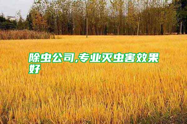 除蟲公司,專業滅蟲害效果好