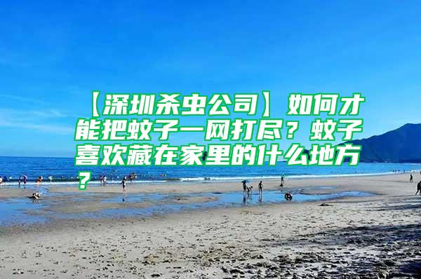 【深圳殺蟲公司】如何才能把蚊子一網打盡？蚊子喜歡藏在家里的什么地方？