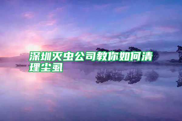 深圳滅蟲(chóng)公司教你如何清理塵虱