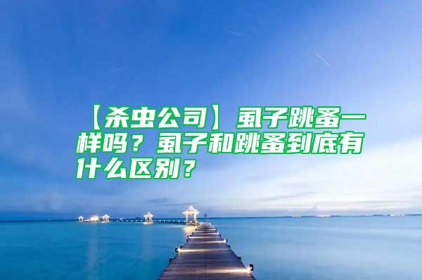 【殺蟲公司】虱子跳蚤一樣嗎?虱子和跳蚤到底有什么區(qū)別?