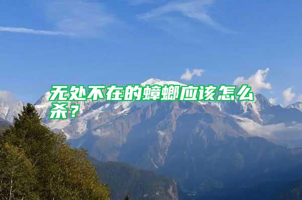 無處不在的蟑螂應該怎么殺？