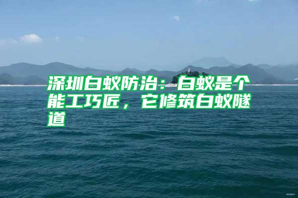 深圳白蟻防治:白蟻是個能工巧匠,它修筑白蟻隧道