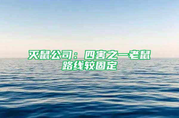滅鼠公司:四害之一老鼠路線較固定
