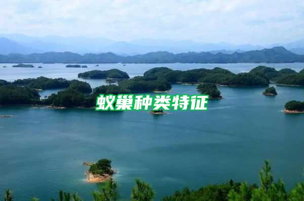 蟻巢種類(lèi)特征