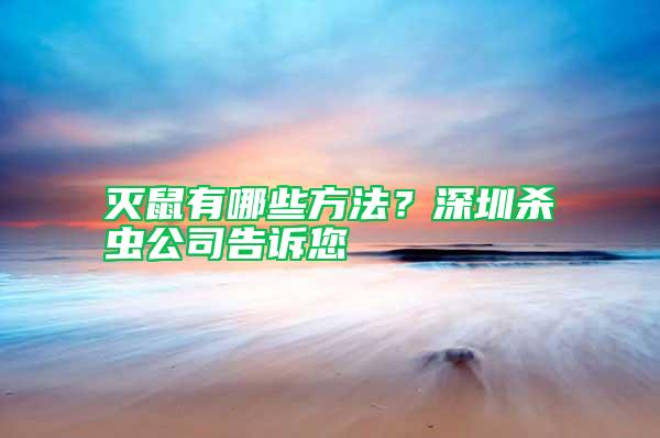 滅鼠有哪些方法?深圳殺蟲公司告訴您