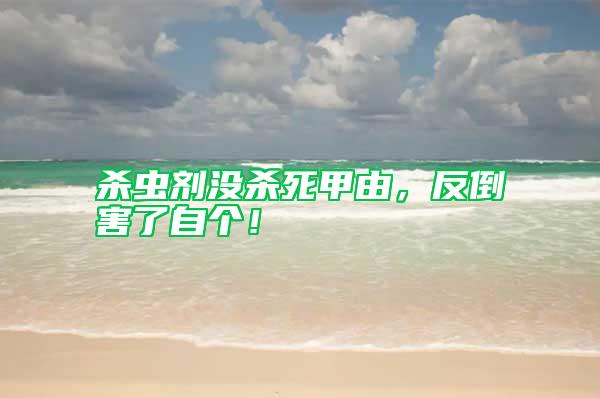 殺蟲劑沒殺死甲由,反倒害了自個!