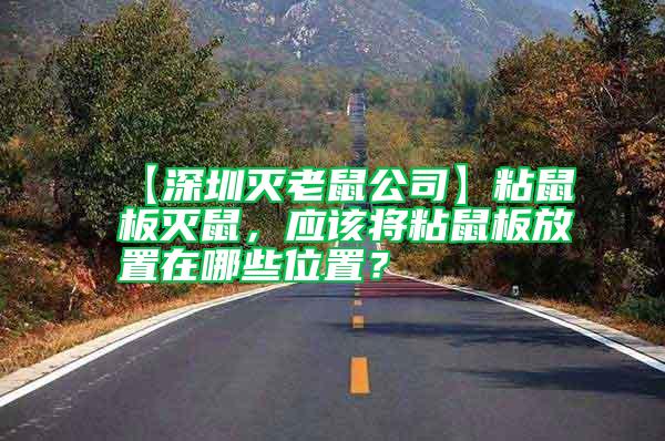【深圳滅老鼠公司】粘鼠板滅鼠,應該將粘鼠板放置在哪些位置?