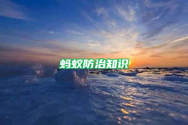螞蟻防治知識
