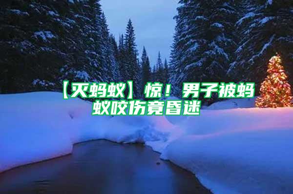 【滅螞蟻】驚！男子被螞蟻咬傷竟昏迷