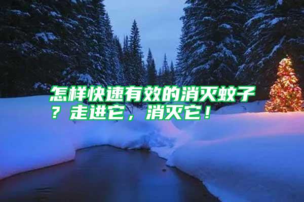 怎樣快速有效的消滅蚊子?走進(jìn)它,消滅它!