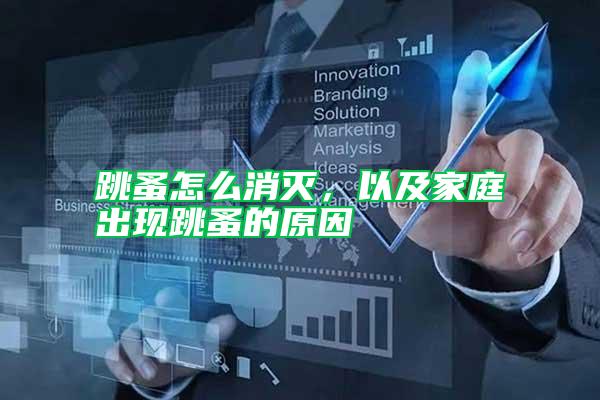 跳蚤怎么消滅,以及家庭出現跳蚤的原因
