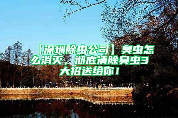 【深圳除蟲公司】臭蟲怎么消滅,徹底清除臭蟲3大招送給你!