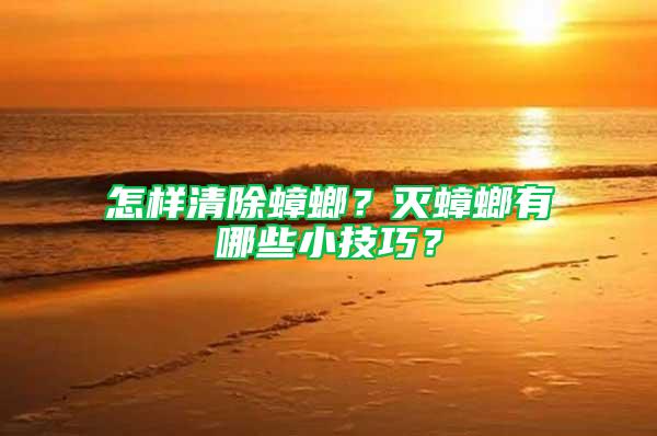 怎樣清除蟑螂?滅蟑螂有哪些小技巧?