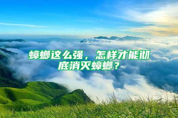 蟑螂這么強，怎樣才能徹底消滅蟑螂？