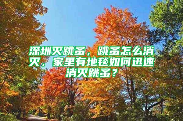 深圳滅跳蚤，跳蚤怎么消滅，家里有地毯如何迅速消滅跳蚤？