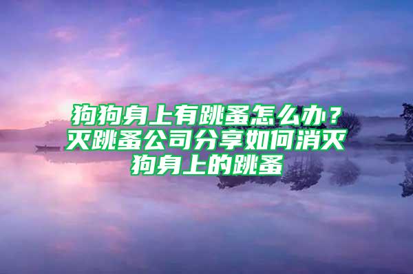 狗狗身上有跳蚤怎么辦?滅跳蚤公司分享如何消滅狗身上的跳蚤