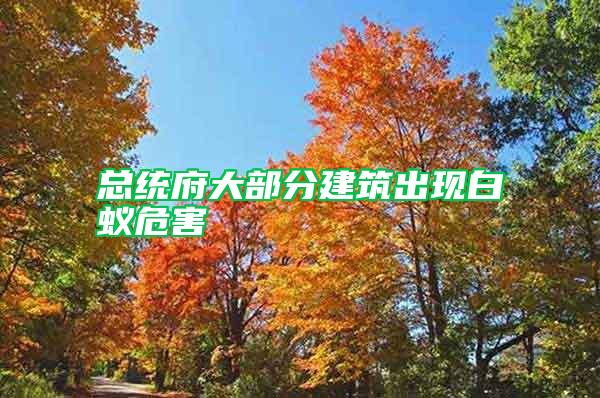 總統府大部分建筑出現白蟻危害