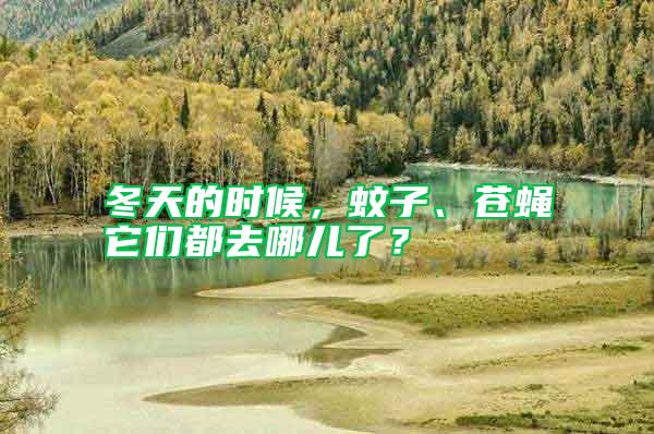 冬天的時(shí)候,蚊子、蒼蠅它們都去哪兒了?