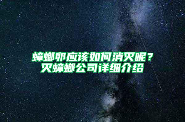 蟑螂卵應該如何消滅呢?滅蟑螂公司詳細介紹