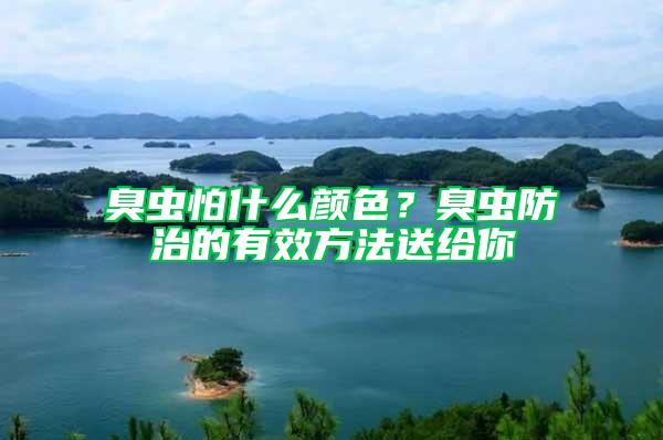 臭蟲怕什么顏色?臭蟲防治的有效方法送給你