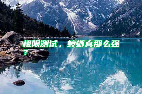 極限測試，蟑螂真那么強？