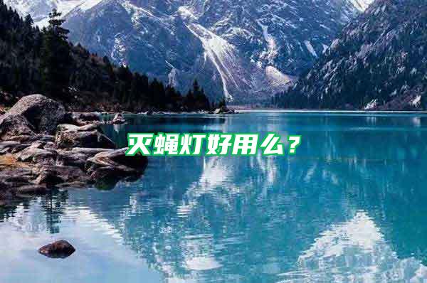 滅蠅燈好用么？