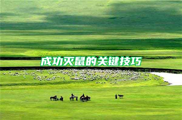 成功滅鼠的關鍵技巧