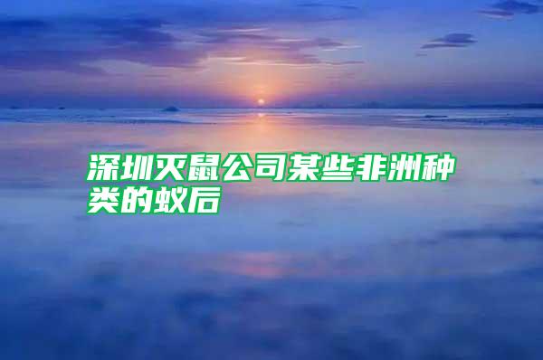 深圳滅鼠公司某些非洲種類的蟻后