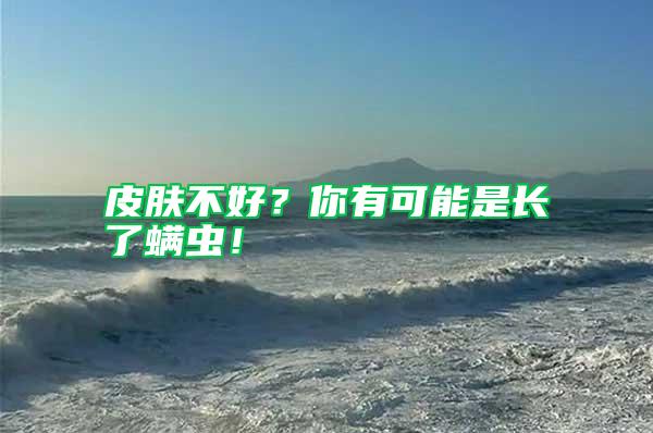 皮膚不好？你有可能是長了螨蟲！