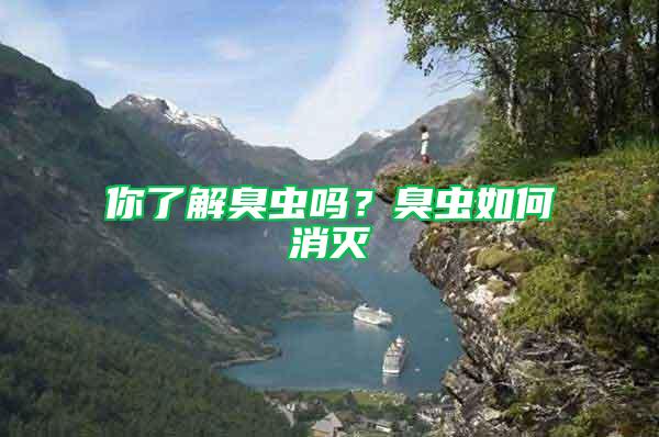 你了解臭蟲嗎?臭蟲如何消滅