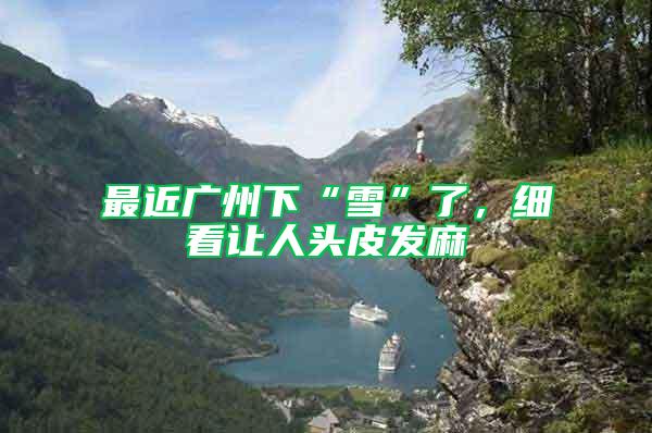 最近廣州下“雪”了,細(xì)看讓人頭皮發(fā)麻