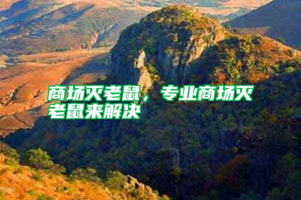 商場滅老鼠，專業商場滅老鼠來解決