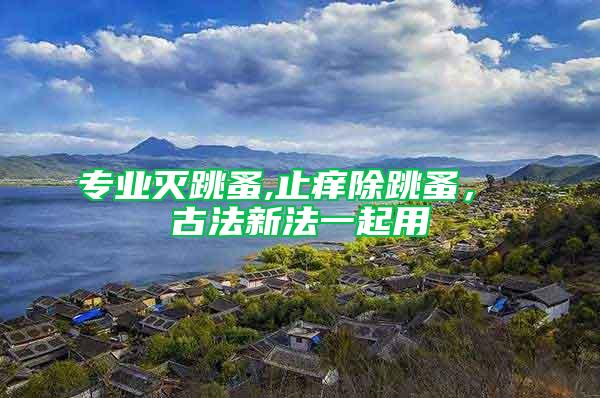 專業(yè)滅跳蚤,止癢除跳蚤, 古法新法一起用