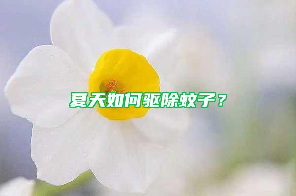 夏天如何驅(qū)除蚊子？