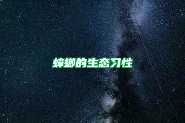 蟑螂的生態習性