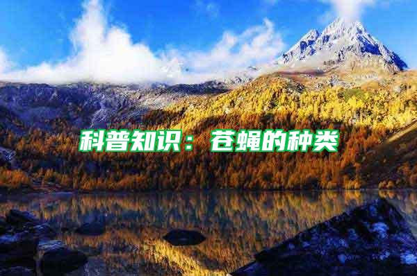 科普知識:蒼蠅的種類