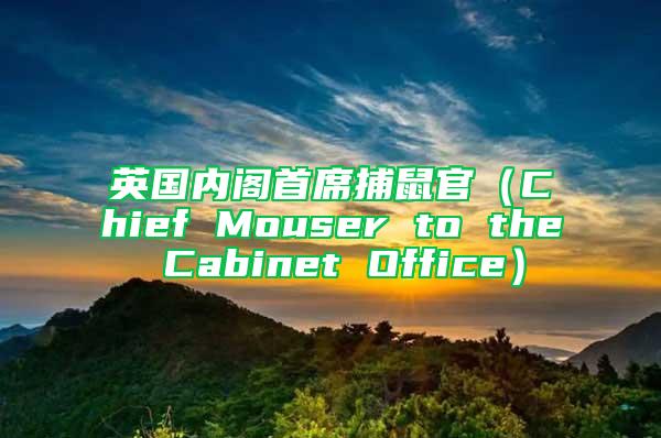 英國內閣首席捕鼠官(Chief Mouser to the Cabinet Office)