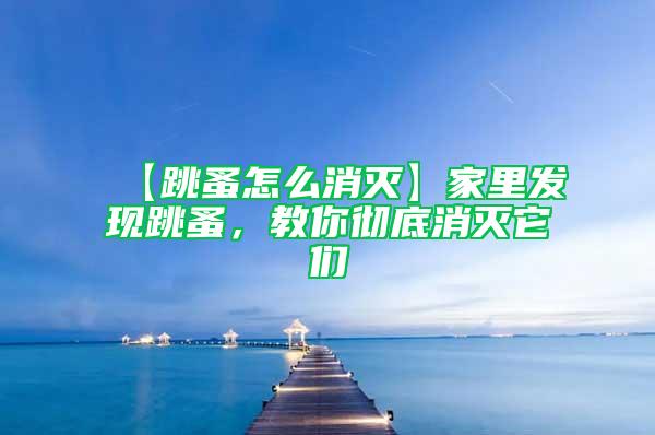 【跳蚤怎么消滅】家里發現跳蚤,教你徹底消滅它們
