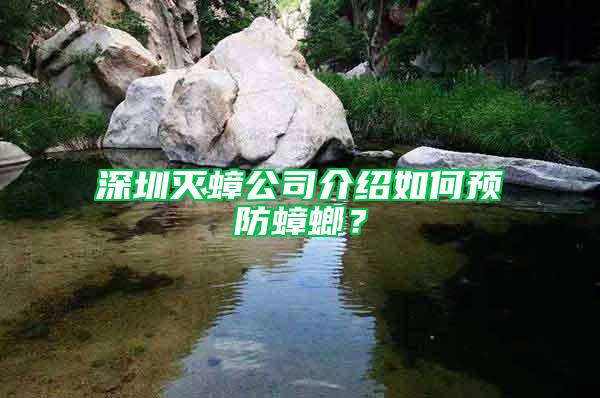 深圳滅蟑公司介紹如何預(yù)防蟑螂?