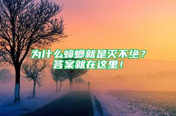 為什么蟑螂就是滅不絕？答案就在這里！