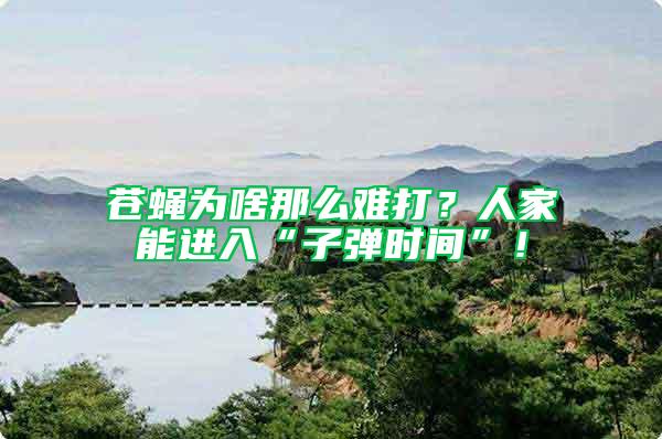 蒼蠅為啥那么難打？人家能進入“子彈時間”！