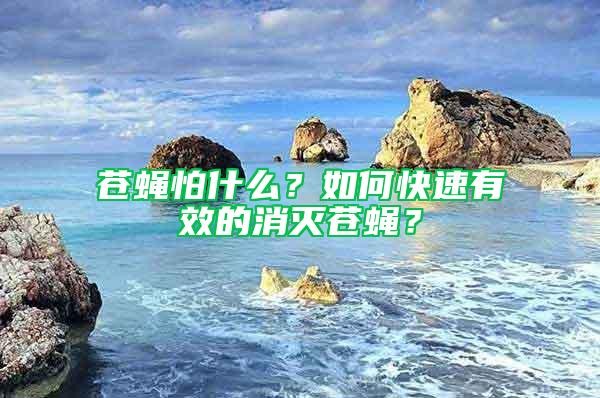 蒼蠅怕什么？如何快速有效的消滅蒼蠅？