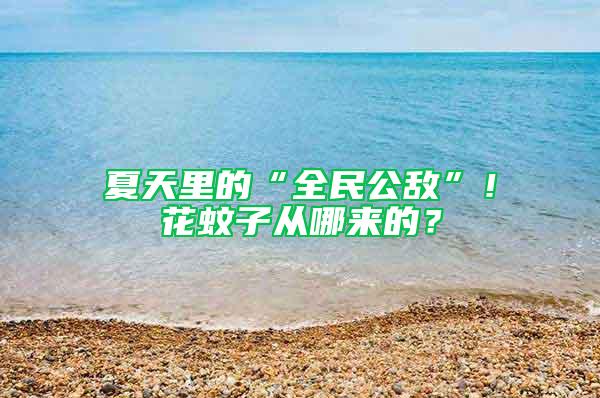 夏天里的“全民公敵”!花蚊子從哪來的?