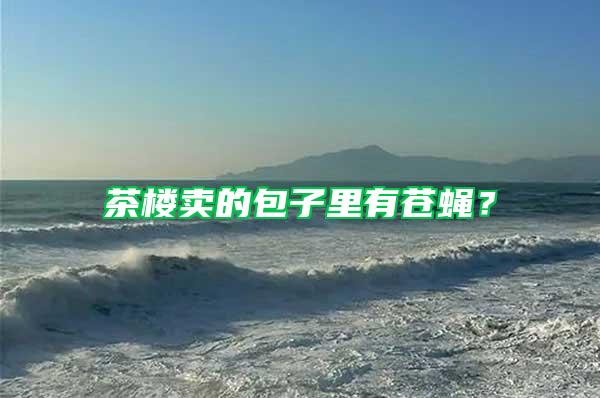 茶樓賣的包子里有蒼蠅?